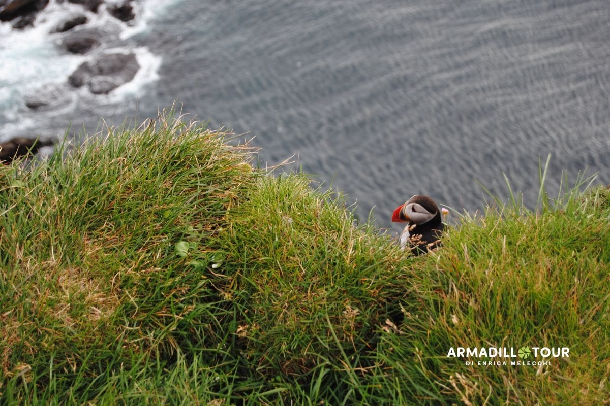 Islanda on the road 14 giorni
