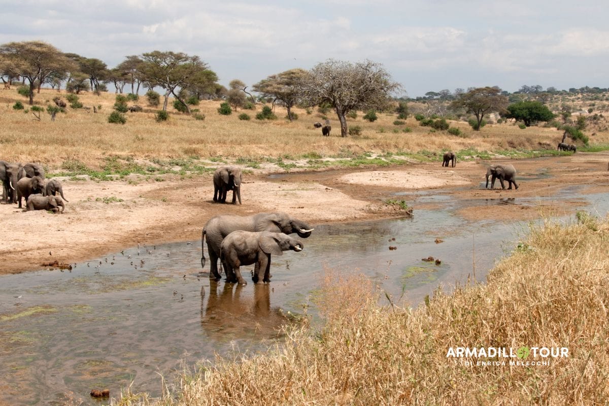 Il meglio della Tanzania